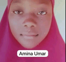 Kebbi abduction: I hid inside the toilet