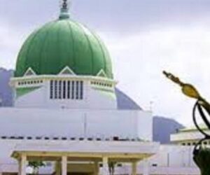 Group Urges NASS to Approve Creation of Aba State