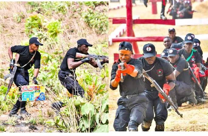 NDLEA Arrests Wanted Drug Lord, Conduct Nationwide Raids [Photos]