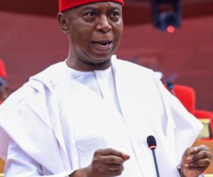 Over 34,000 Nigerians sign petition to hold Ned Nwoko accountable for alleged abuse