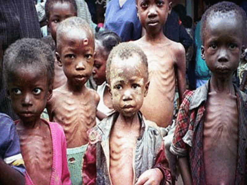 Over 33 Million Nigerians May Starve, Get Malnourished In 2026 – Nigerian Red Cross Warns