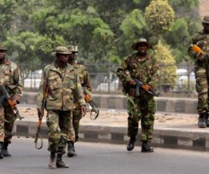 Nigerian soldiers dislodge terrorists, recover 91 rustled cattle in Taraba
