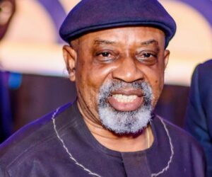Gunmen who attacked my convoy accused security men of working for zoo govt – Ngige