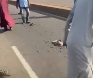 Police recover 210 rounds of ammunition abandoned on highway