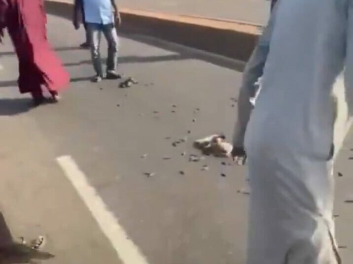 Police recover 210 rounds of ammunition abandoned on highway