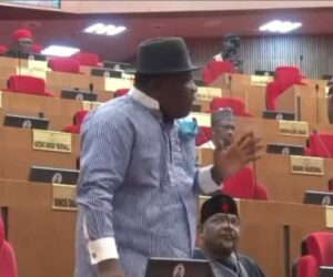 ‘Let’s tell President Tinubu the truth’- Bayelsa West Senator tackles colleagues for commending President Tinubu despite abductions