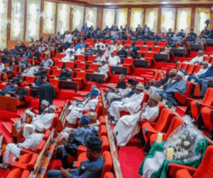 Senate moves to strengthen access to equitable primary health care