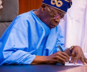 Tinubu Makes Fresh Appointment | Naija News
