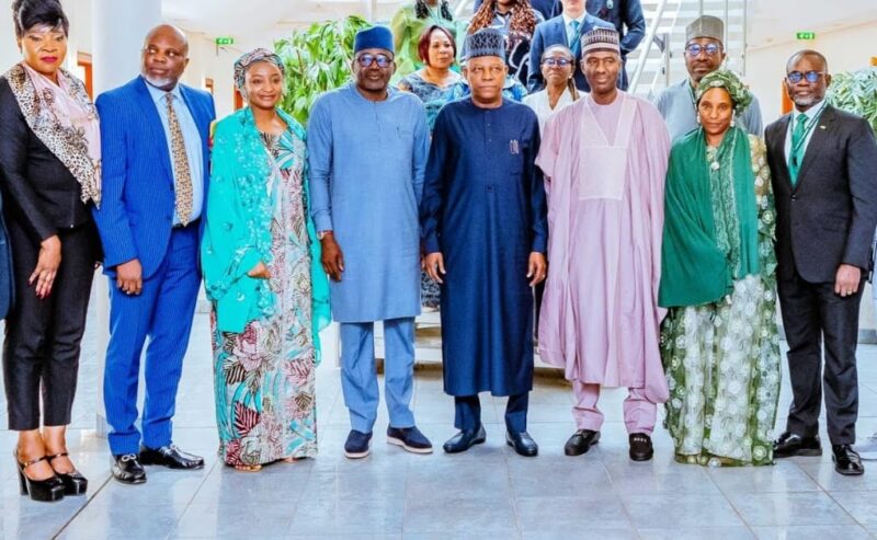 FG To Launch Two New Investment Funds For Nigerian Startups Under iDICE Programme – Arise News