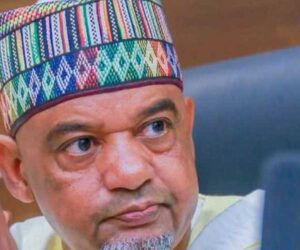 PDP State chairmen back Damagum, rejects Abdurahman