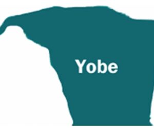 Man Arrested For Defiling Nine-year-old Girl In Yobe