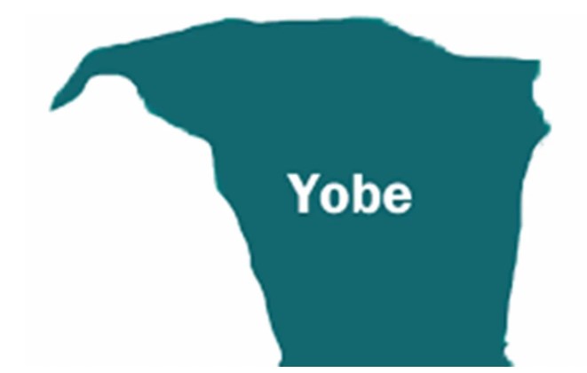 Man Arrested For Defiling Nine-year-old Girl In Yobe