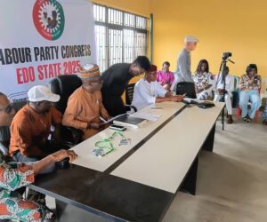 Ex-Edo Speaker, Elizabeth Ativie, Wins LP Chairman