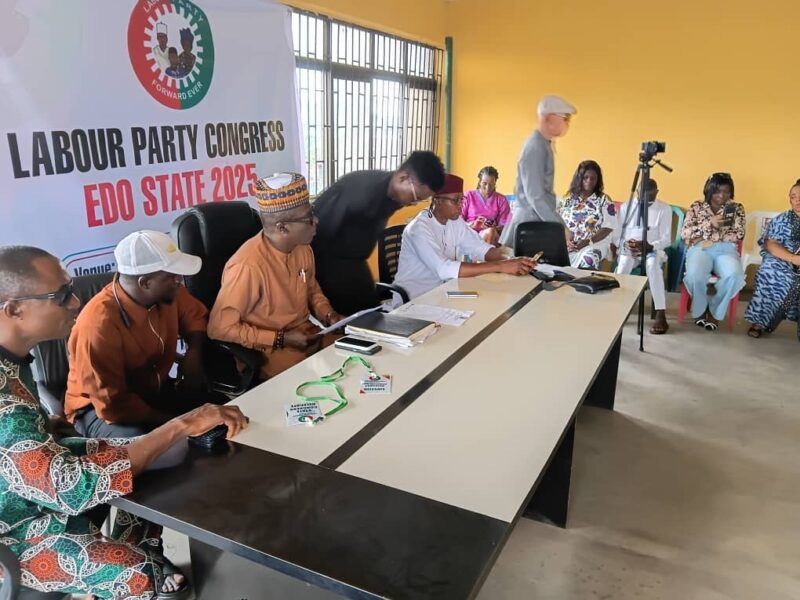 Ex-Edo Speaker, Elizabeth Ativie, Wins LP Chairman