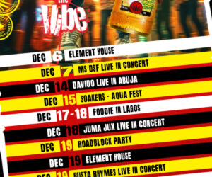 Clock the Vibe season: Desperados is bringing its Gen Z party energy to every major December stage