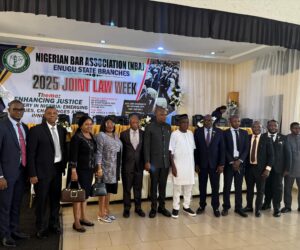 Innovation Minister, Udeh, Justice Nnamani, others champion law enlightenment in Enugu