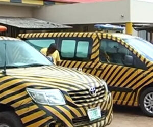 What appeal court ruling against VIO impounding vehicles mean for motorists