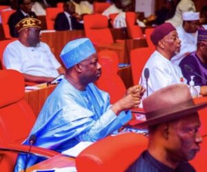 Senate Reviews 2025 Spending Plan, Cuts Budget to N43.56trn