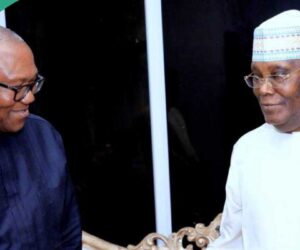 Atiku, Peter Obi: “What Will influence ADC’s Choice Of Presidential Candidate,” Cheiftain Explains