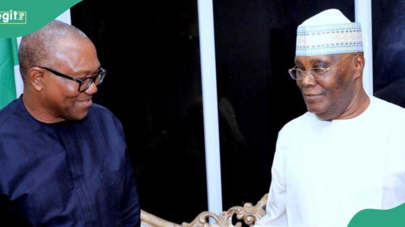 Atiku, Peter Obi: “What Will influence ADC’s Choice Of Presidential Candidate,” Cheiftain Explains