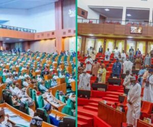 National Assembly Demands Naming and Prosecution of Terrorism Financiers