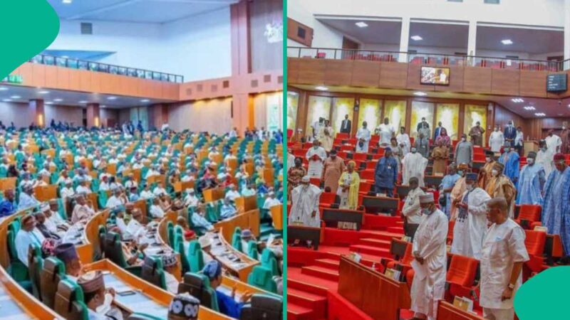 National Assembly Demands Naming and Prosecution of Terrorism Financiers