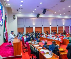 Senate in rowdy session over Christopher Musa’s screening as defence minister