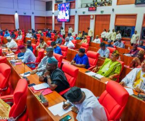 Senate begins screening of new defence minister