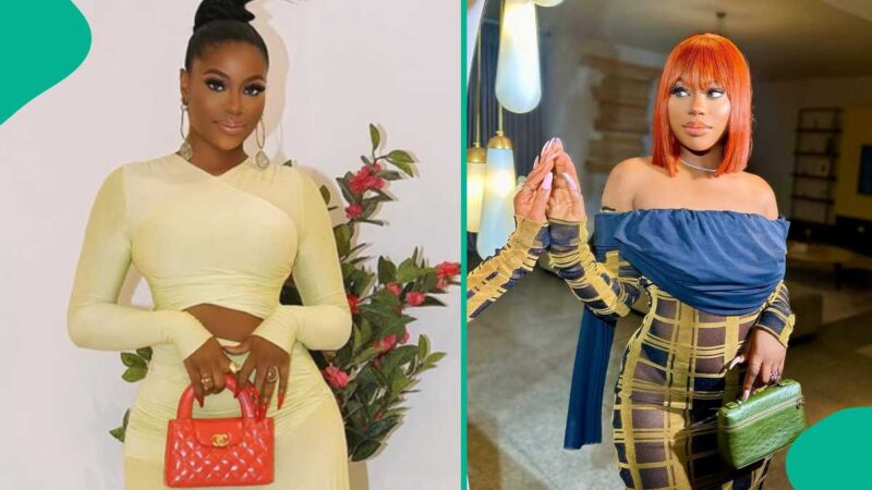 Sophia Momodu Claps Back at Netizen Who Accused Her of Flaunting Replica Designer Bag in New Drama
