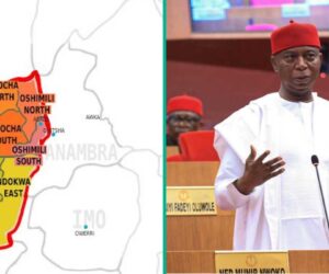 Anioma State Creation: Delta North Leaders Reject South-East Proposal