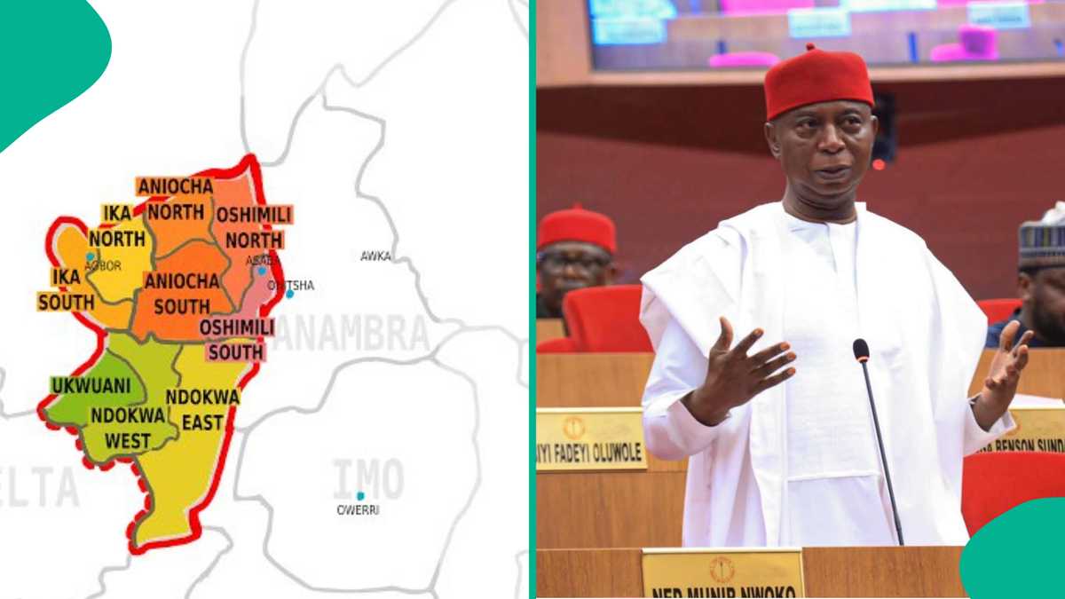 Anioma State Creation: Delta North Leaders Reject South-East Proposal