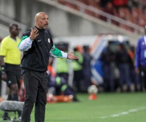 Chelle Reportedly Set to Name 22-Year-Old Striker As Back-Up to Osimhen in Nigeria’s AFCON Squad