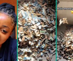 Nigerian Lady Shows Off Cash She Saved in Box, Dishes Advice: “If You Like, Spend Extravagantly”