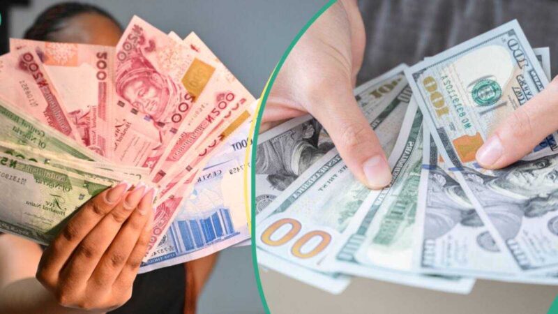 CBN Releases New FX Rate as Naira Falls, Gap Widens Between Official, Black Markets