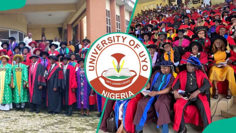 List of courses offered in UNIUYO and cut-off mark for 2026/2027