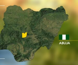 Fire Guts Abuja Timber Market