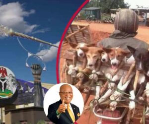 Akwa Ibom House Of Assembly Rejects Motion To Ban Dog Meat – Arise News