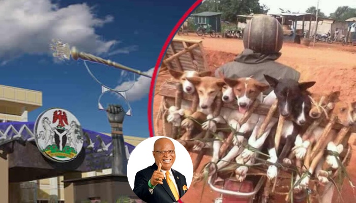 Akwa Ibom House Of Assembly Rejects Motion To Ban Dog Meat – Arise News