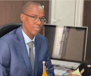 Mali recovers $1.2bn in arrears from miners after companies’ audit