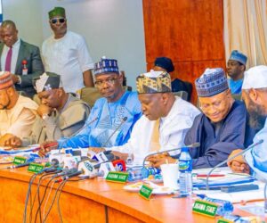 Northern governors, traditional rulers back state police, 6-month suspension to mining