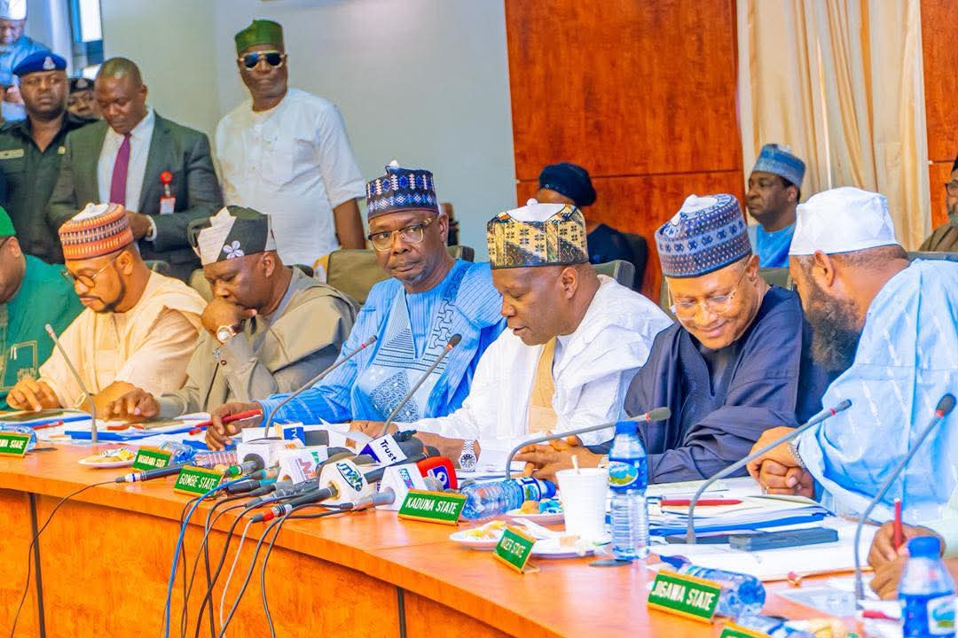 Northern governors, traditional rulers back state police, 6-month suspension to mining