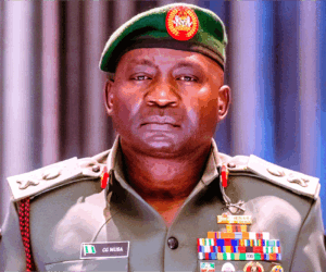 Senate to screen new defence minister today