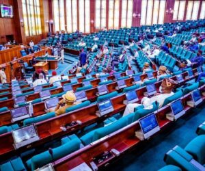 Reps Probe Whereabouts Of N30bn Recovered Social Programme Funds