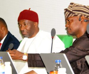 Nigeria’s Trillion-Dollar Goal Hinges On SMEs – Abbas