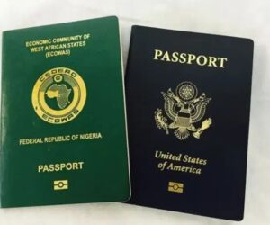 US senator proposes end to dual citizenship, raising concerns for Nigerians, others