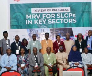 Stakeholders Push For Stronger MRV To Curb Climate Pollutants