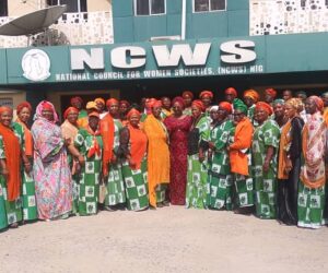 NCWS, SEC Call For Protection Against Digital GBV