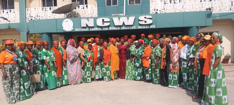 NCWS, SEC Call For Protection Against Digital GBV