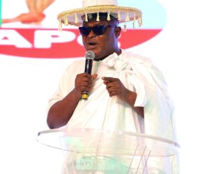 We’ll Get It Right With Security, Obasa Assures As Progressive Govs’ Forum Passes Confidence Vote On Tinubu