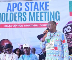 Delta Central APC Stakeholders Meeting: Waive Calls For Increased Voter Registration